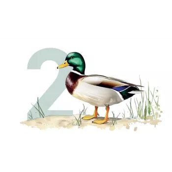 Ollo Cat Pouch No. 2 Duck 85 g - Pilnavertis šlapias maistas padaže