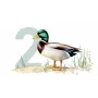Ollo Cat Pouch No. 2 Duck 85 g - Pilnavertis šlapias maistas padaže