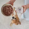 PAKA ZWIERZAKA Kalakutiena su spanguolėmis šlapias ėdalas šunims – be grūdų, 150 g maišelis