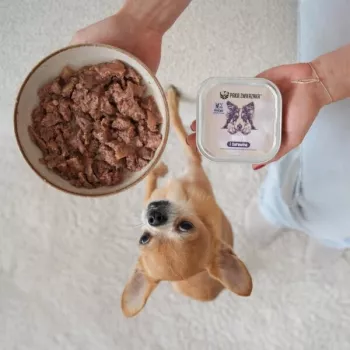 PAKA ZWIERZAKA Kalakutiena su spanguolėmis šlapias ėdalas šunims – be grūdų, 150 g maišelis