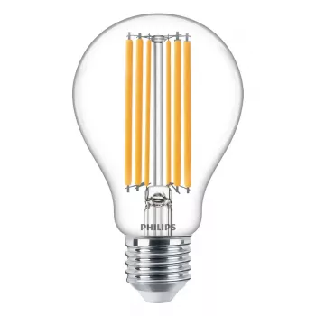 Philips CorePro LED lemputė ND 120W E27 A67 827 CL G