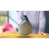 Philips DST2030/90 lygintuvas su garais – 2000W, nelipnus padas, 270 ml bakelis