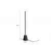 Philips Hue Gradient Play stalinė lempa, juoda