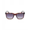 POLICE vyriški akiniai nuo saulės SPLN34M540878 Havana acetatinis rėmelis rudi lęšiai 54mm