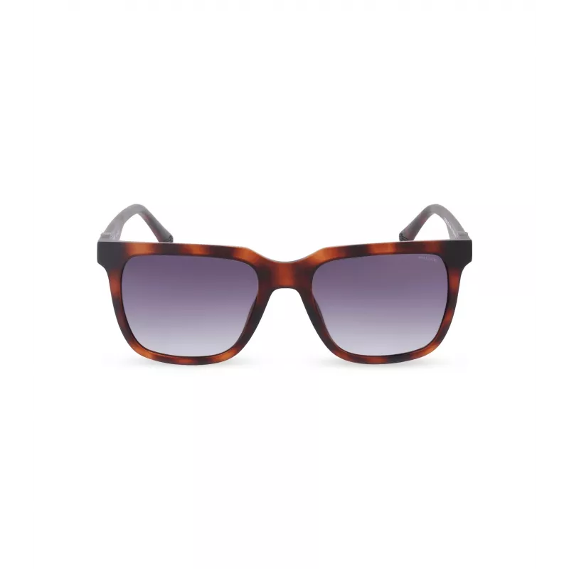 POLICE vyriški akiniai nuo saulės SPLN34M540878 Havana acetatinis rėmelis rudi lęšiai 54mm
