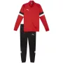 PUMA vyriškas treniruočių kostiumas Team Rise raudonas juodas XL