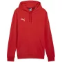 Puma Team Goal Casuals Hoody Raudonas