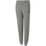 PUMA teamGOAL 23 Casuals Pants Jr Grey 656713 33 140