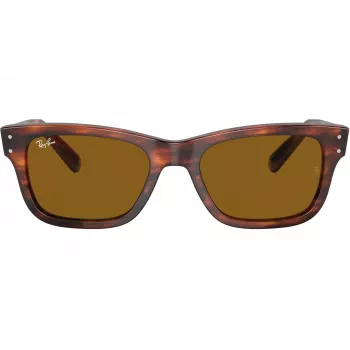 Ray-Ban Frank Unisex Akiniai RB22839543355 Havana Brown 52mm