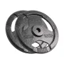 REBEL ACTIVE Ketaus svarmenų rinkinys 2x10kg, anga 31mm, diskai su rankenomis, juodi