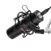 REDRAGON BLAZAR RD-GM300 kardinoidinio kryptingumo USB žaidimų mikrofonas su trikojžiu stovu, pop filtru ir smūgius sugeriančiu laikikliu - juoda