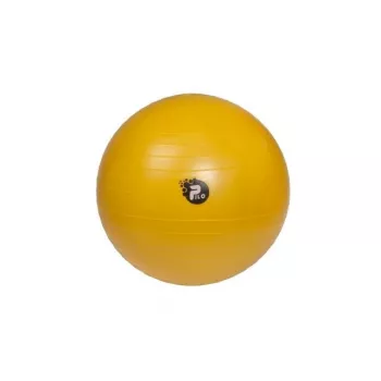 REHA FUND PILO-1045 Reabilitacinis kamuolys ABS 65 cm Sidabrinis/Pilka