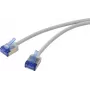 Renkforce RF-7116930 CAT 6a U/FTP itin plonas tinklo kabelis, RJ45, 2 m, pilkas