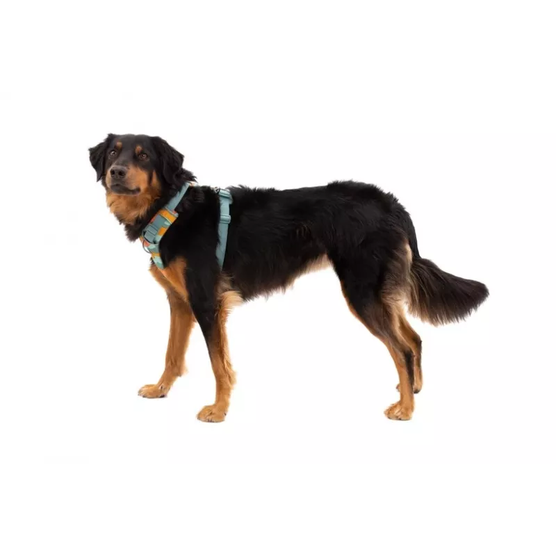 Ruffwear Front Range Petnešos XS - River Rock Green