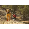 Ruffwear Grip Trex šunų batai - Obsidian Black, XS (pora)