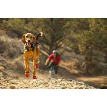 Ruffwear Grip Trex šunų batai - Obsidian Black, XS (pora)