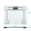 Salter 9081 SVFEU12 Stiklinės elektroninės svarstyklės, sidabrinė/skaidri