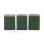 Salter BW12898G Toronto 3-Piece Canister Set, Green