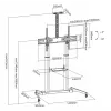 SBOX FS-3610 Grindinis LED televizoriaus stovas 60-100 colių, 100 kg
