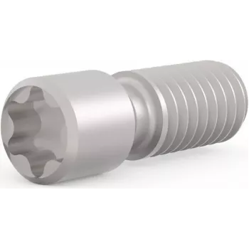 SCHROFF M2,5 x 9 mm kūginis varžtas su Torx T8 galvute, plieninis, 100 vnt. (21102980)