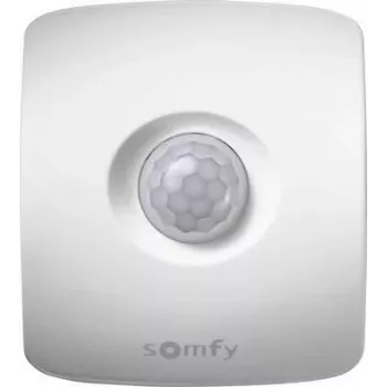 Somfy 2401361 belaidis vidinis infraraudonųjų spindulių judesio detektorius, baltas