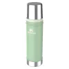 STANLEY Thermos The Legendary Classic Bottle 0,59L termosas (pistacijų spalvos)