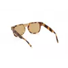WEB EYEWEAR vyriški akiniai nuo saulės WE0315-0041F (Lens/Bridge/Temple) 00/0/145 mm