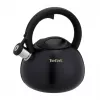 Tefal N4180410 Express Control nerūdijančio plieno virdulys 2,5 l, indukcinis, sidabrinis/juodas