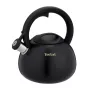 Tefal N4180410 Express Control nerūdijančio plieno virdulys 2,5 l, indukcinis, sidabrinis/juodas