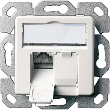 Telegärtner AMJ45 8/8 K Up/50 Cat.6A įleidžiama duomenų rozetė, 2x RJ45, ekranuota, perlų balta RAL 1013 J00020A0501