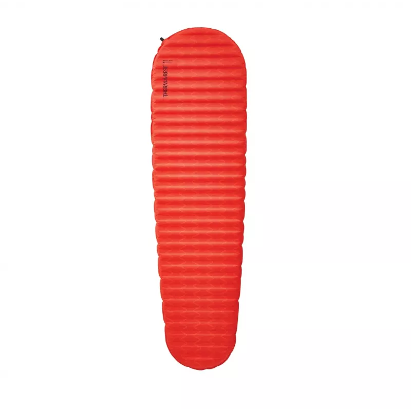 Termopuodis Therm-a-Rest ProLite Apex R-Heat Wave Mat