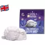 TONIES Sleepy Friends - Lullaby Melodies with Sleepy Sheep (Muzika, anglų k.)