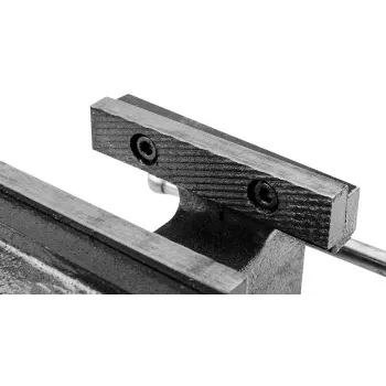 TOPEX šaltkalvio spaustuvai 100 mm pasukamas pagrindas, pilki, ketaus