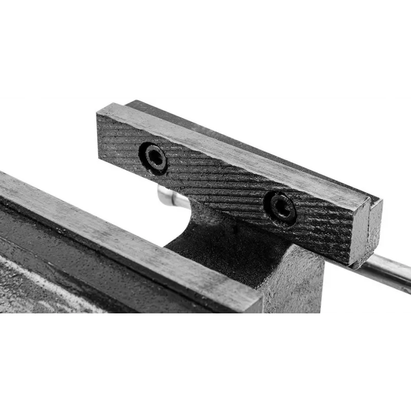 TOPEX šaltkalvio spaustuvai 100 mm pasukamas pagrindas, pilki, ketaus