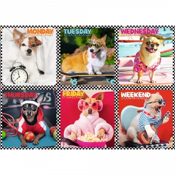 Trefl Puzzle 200 Happy Dogs