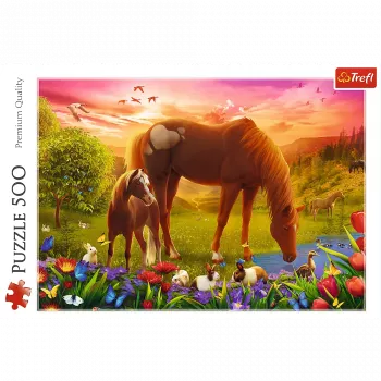 TREFL Puzzle 500 - Horses in the Meadow