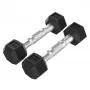 Tunturi Platinum Hex Rubber Dumbbell, 1kg, pora