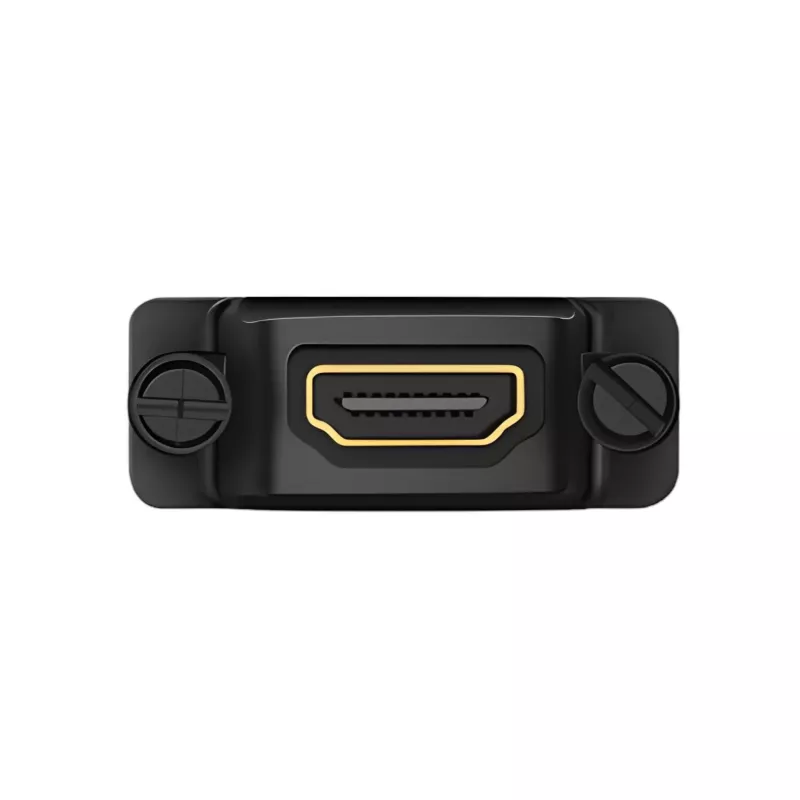 UGREEN 20124-20124 DVI (24+1) vyriškas į HDMI moterišką adapterį - juodas