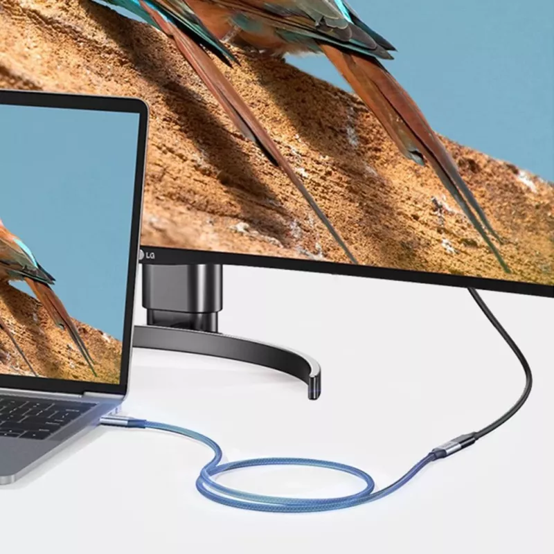 UGREEN US372 USB-C į USB-C laidas 100W 5A 10Gbps 0,5m Pilka