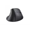 Ugreen belaidė vertikali pelė, 2,4 GHz / Bluetooth 5.4, reguliuojamas DPI, juoda