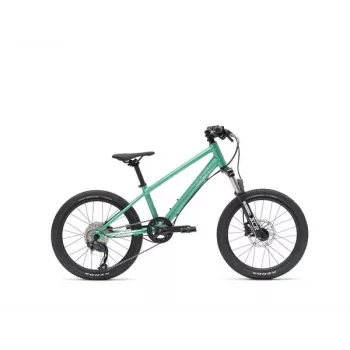 VAAST Y/1 kalnų dviratis 20 colių Gloss Teal – jaunimo MTB su super magnio rėmu