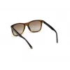 WEB EYEWEAR MAN WE0279-5652G Havana Žali Akiniai nuo Saulės 56/19/145 mm