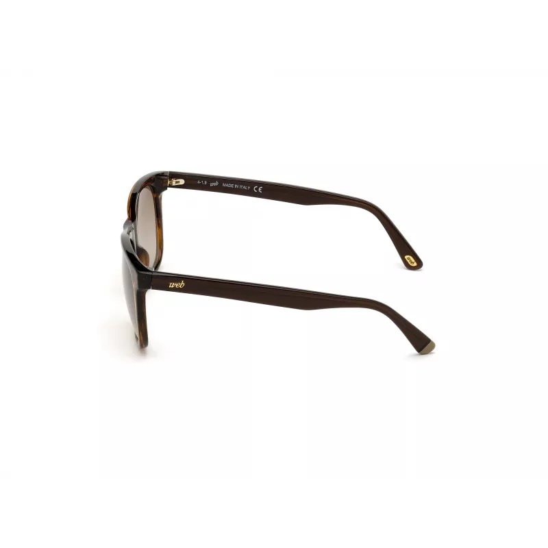 WEB EYEWEAR MAN WE0279-5652G Havana Žali Akiniai nuo Saulės 56/19/145 mm