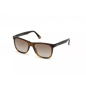 WEB EYEWEAR MAN WE0279-5652G Havana Žali Akiniai nuo Saulės 56/19/145 mm