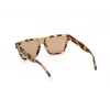 WEB EYEWEAR MAN WE0314-0041F Akiniai Nuo Saulės Havana Acetato Rėmelis Rudi Gradientiniai Lęšiai 54-19-145
