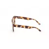 WEB EYEWEAR MAN WE0314-0041F Akiniai Nuo Saulės Havana Acetato Rėmelis Rudi Gradientiniai Lęšiai 54-19-145