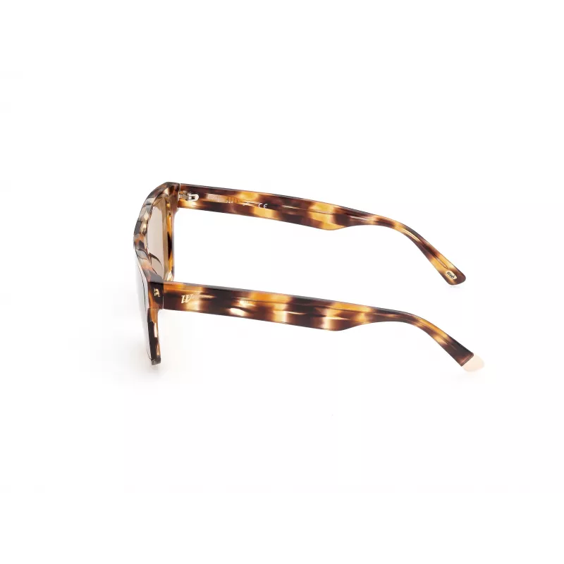 WEB EYEWEAR MAN WE0314-0041F Akiniai Nuo Saulės Havana Acetato Rėmelis Rudi Gradientiniai Lęšiai 54-19-145