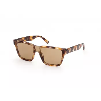 WEB EYEWEAR MAN WE0314-0041F Akiniai Nuo Saulės Havana Acetato Rėmelis Rudi Gradientiniai Lęšiai 54-19-145