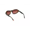 WEB EYEWEAR Moteriški Akiniai Nuo Saulės WE0288-6052F Havana Pilkas Gradientas 60/18/125 mm