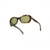 WEB EYEWEAR Moteriški Akiniai Nuo Saulės WE0289-5652N Havana Acetate Square Frame Brown Gradient Lens 56/19/130 mm